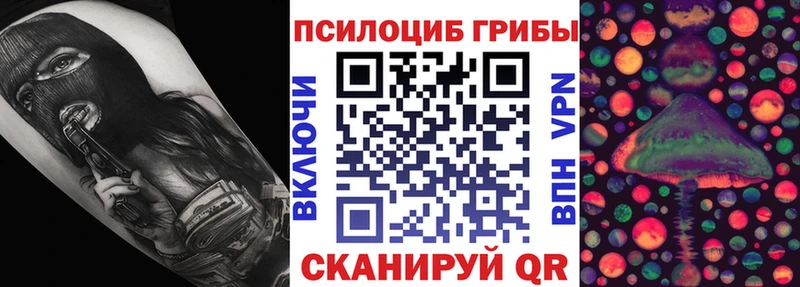 Галлюциногенные грибы Psilocybe  Артёмовский 